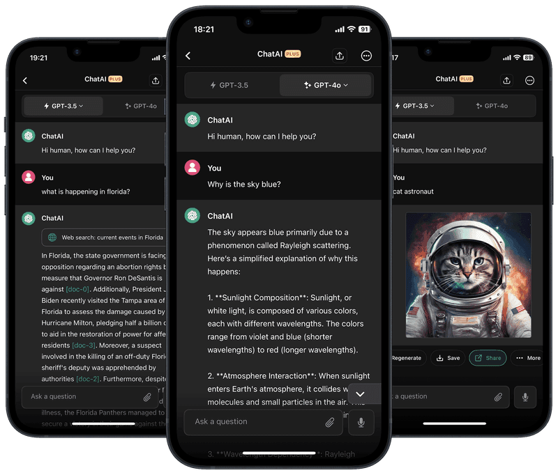 Application screenshot